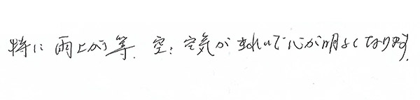 白内障手術感想294